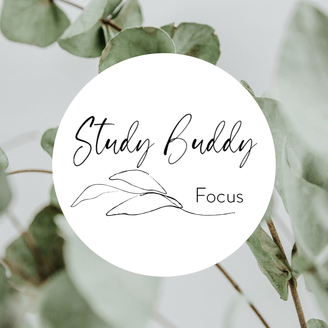 Study-Buddy-Focus