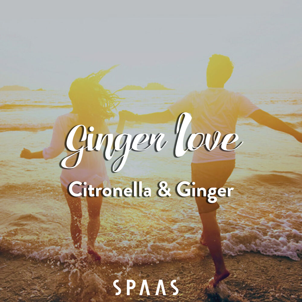 Scented-Candles-Spaas-Ginger-Love-scent-citronella-ginger