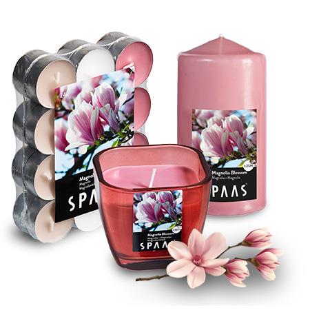 Parfum du magnolia