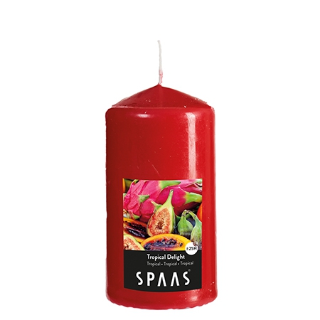 65 Hours Cotton Blossom Spaas Scented Cylinder Pillar Candle 80//150 mm